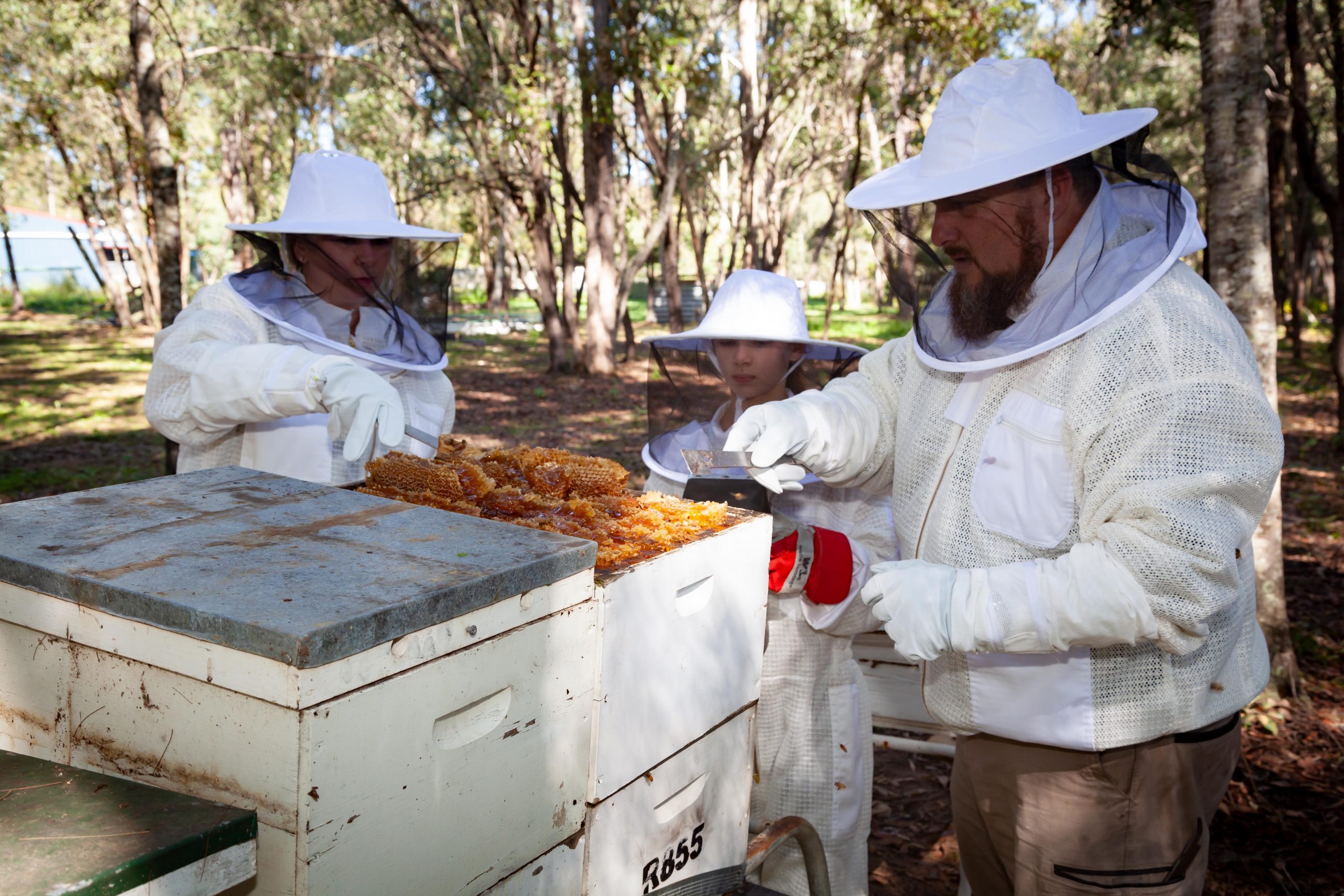 Beekeeping family puts bees first Our Logan