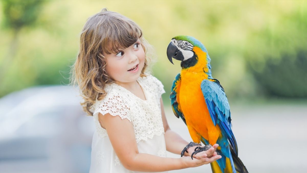 The chance to hold a macaw is one of the many listings available on the SwapU app.