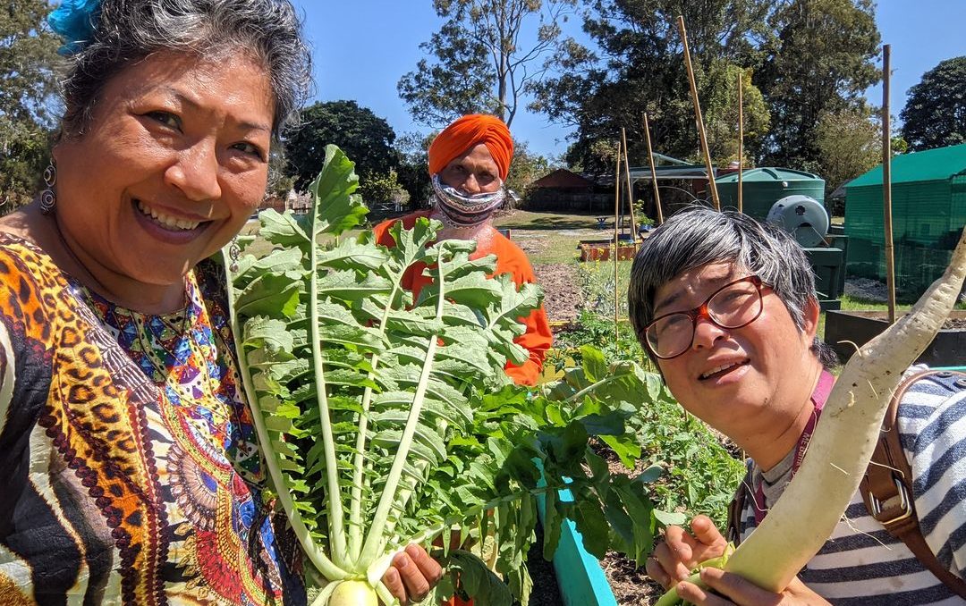 Our Logan | Logan City Council | What's On in Logan - volunteers posing with daikon at Jimbelungare Community Garden.