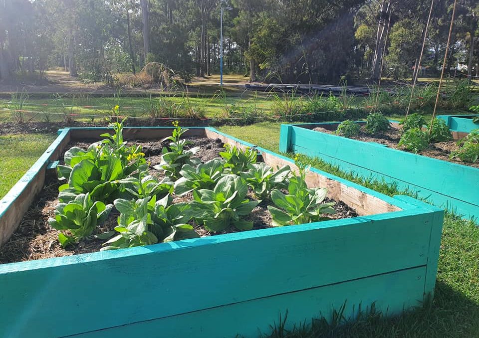 Our Logan | Logan City Council | What's On in Logan - volunteers at the Jimbelungare Community Garden.