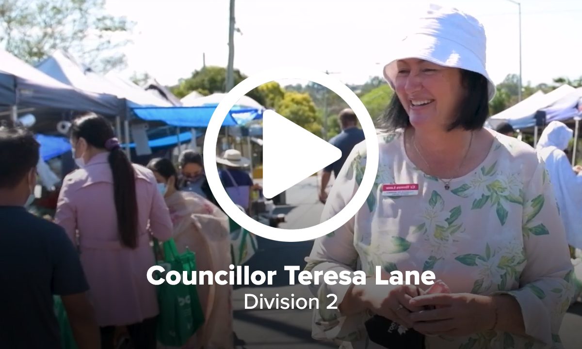 Councillor Teresa Lane in her Division 2 video