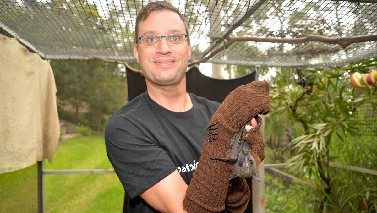 A photograph of wildlife carer Joerg Rockstroh with one of the flying foxes he is caring for at his Cornubia home.