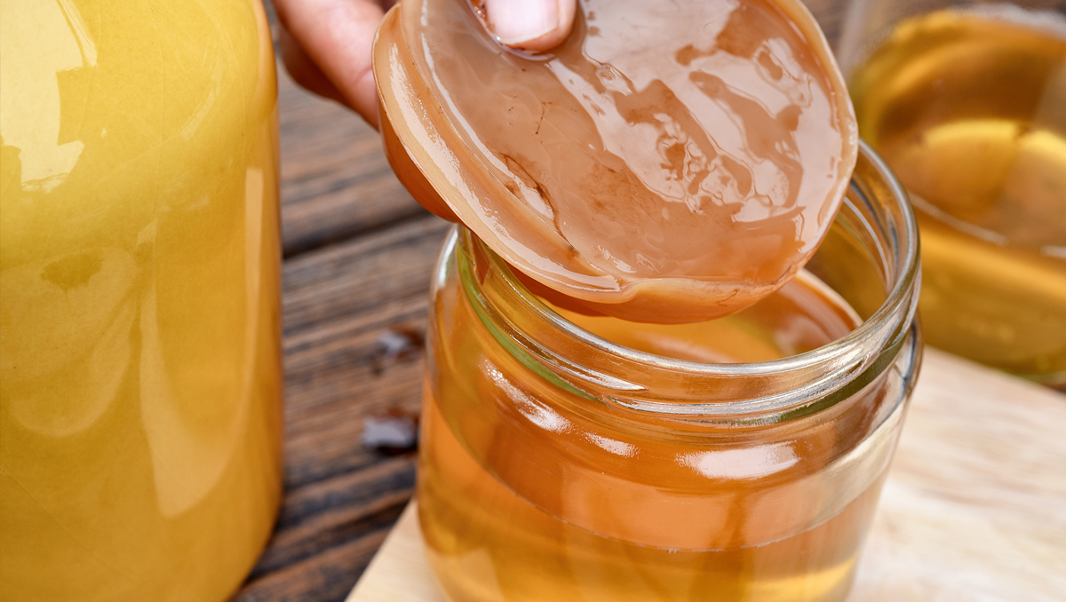 A kombucha scoby.