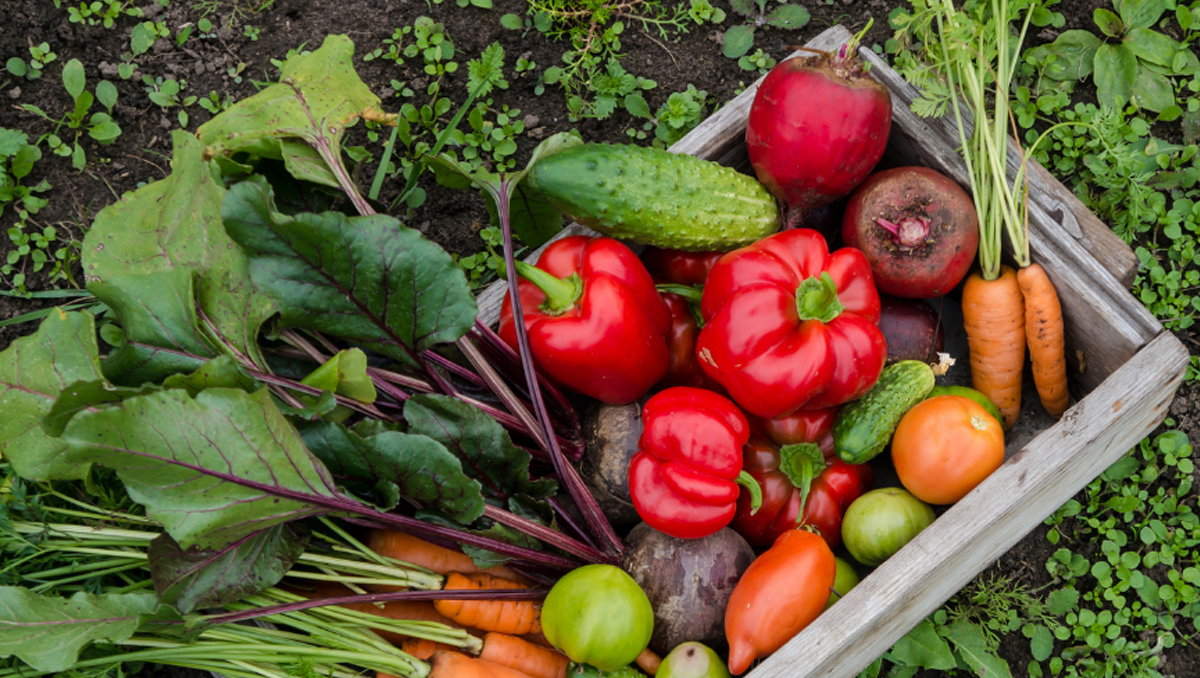 A box of vegetables.