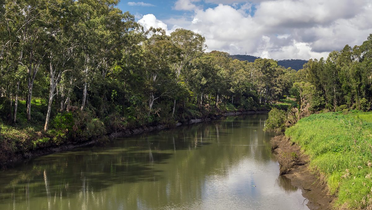 An image of Carter Park on the Albert River, an picturesque area that could attract nature-based tourism.