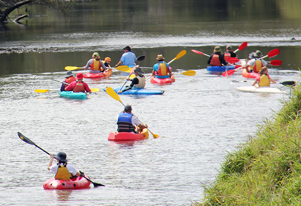 An image of people paddling kayaks to show Canoeing and kayaking on City of Logan waterways could be a key attraction for nature-based tourism enthusiasts.