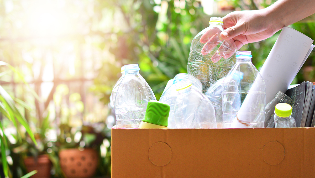 A box of plastic bottles to be recycled.
