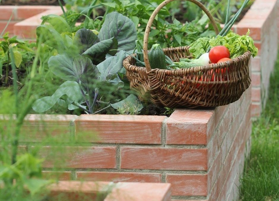 Eating from your garden - Logan style! - Dr Kevin Redd