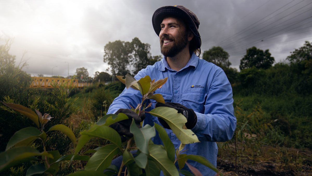 An image of a Council worker in a field to illustrate that the Environmental Levy will again fund a range of green and solar initiatives and programs across the City of Logan in the next 12 months.