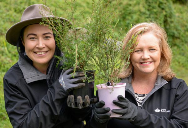 Dig in and help the environment on National Tree Day