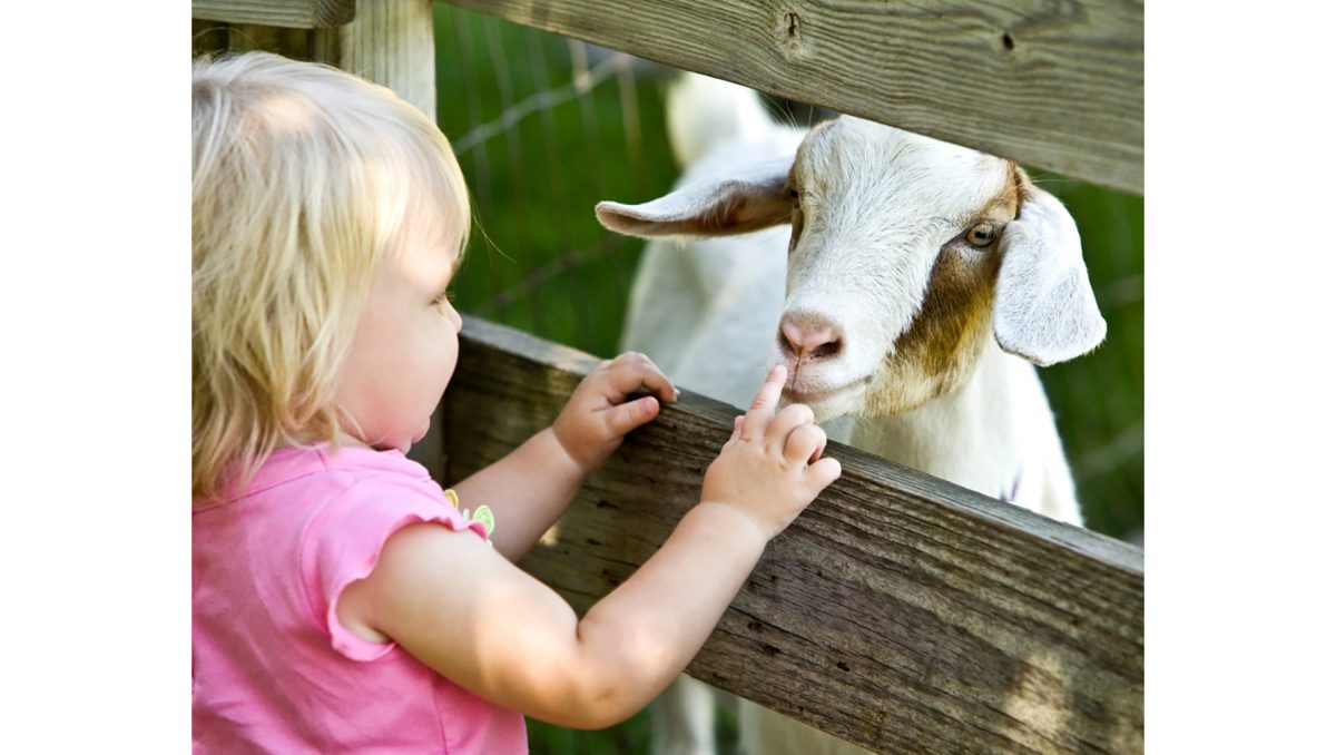 A petting zoo will delight children at this month’s Eats & Beats event in Berrinba.