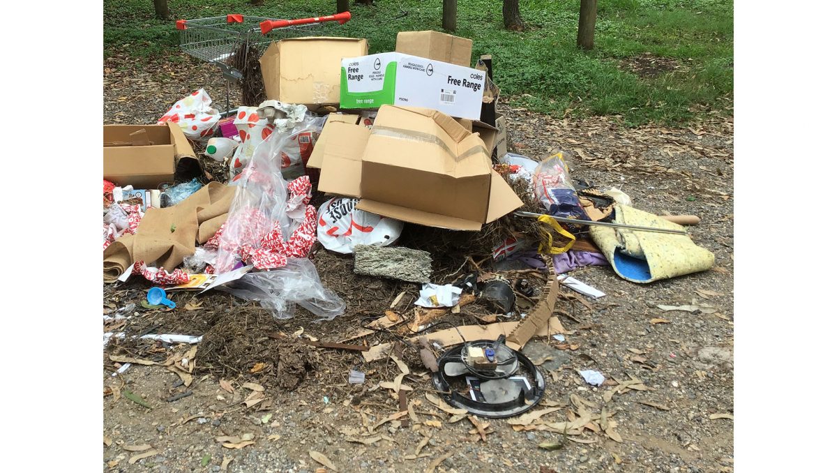 An example of an illegal dumping site in the City of Logan.