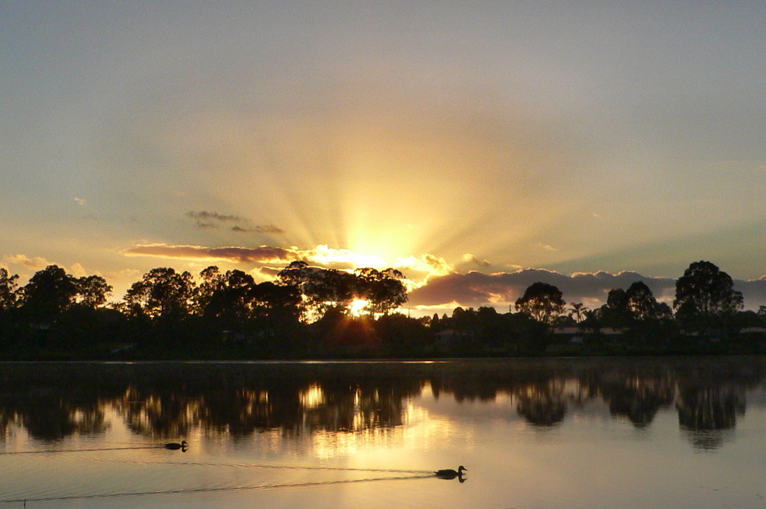 Sunrise at Tygum Park