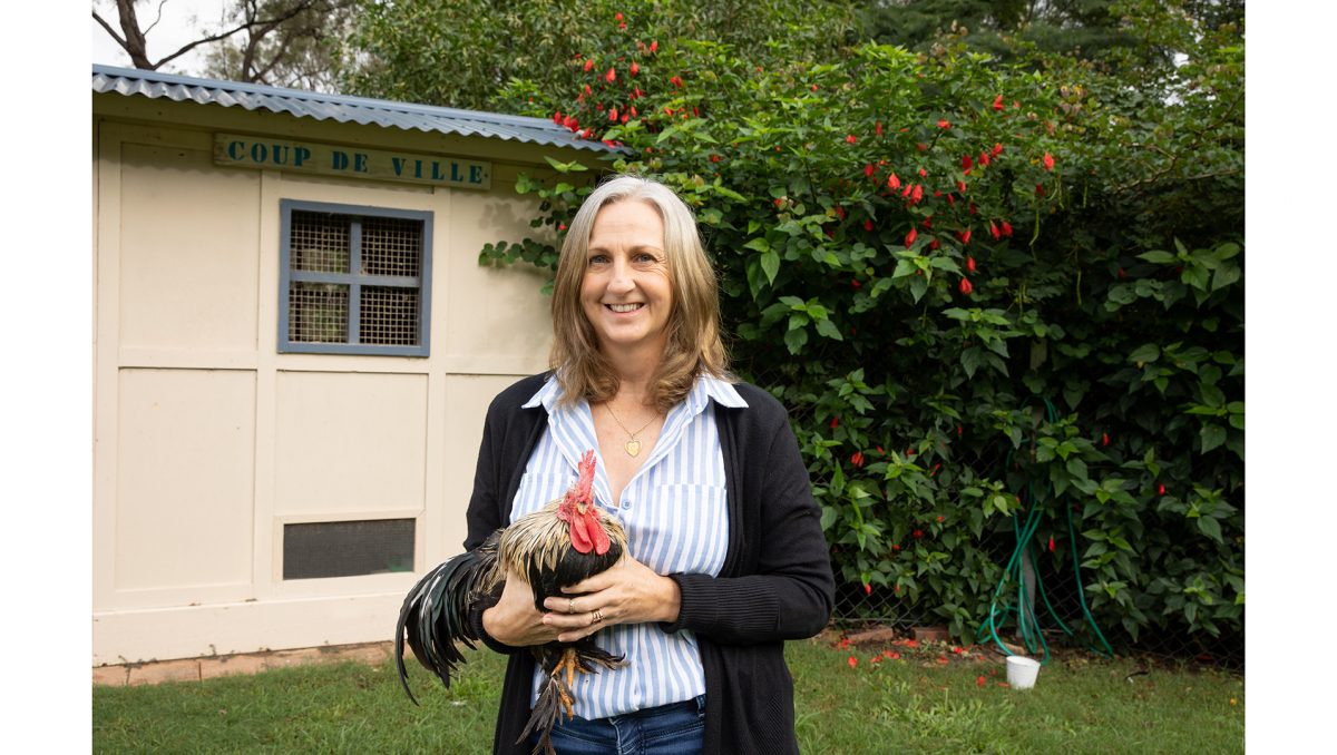 Rooster Sir Clucks A Lot, pictured with Tammy Kilpatrick, is an example of one of the animals which Logan City Council oversees in the city.