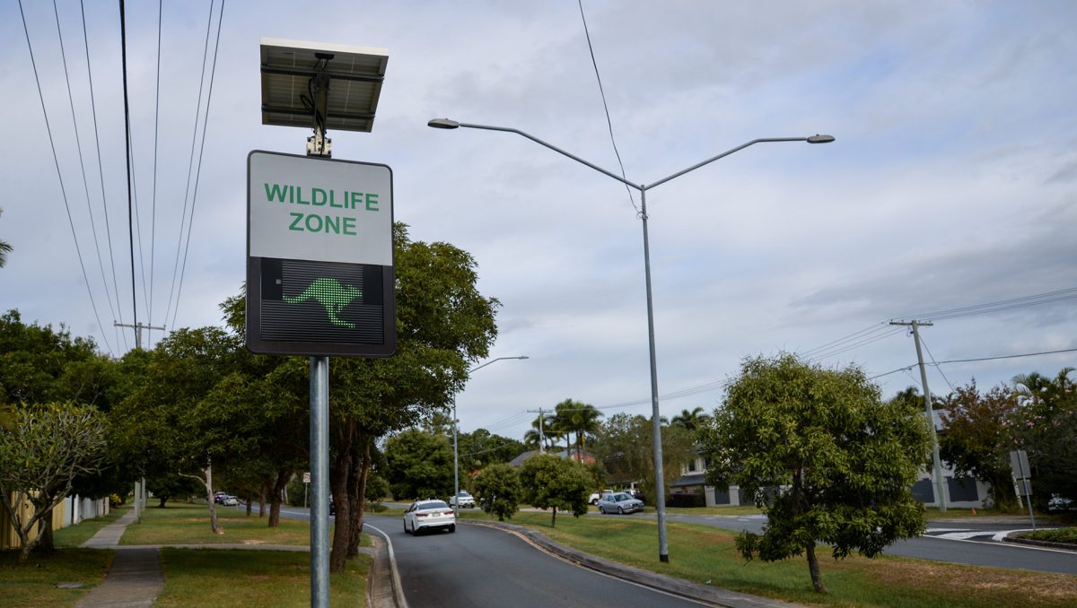 The Portable Wildlife Advisory Signs are being installed across Logan in an effort to reduce vehicle collisions with wildlife.