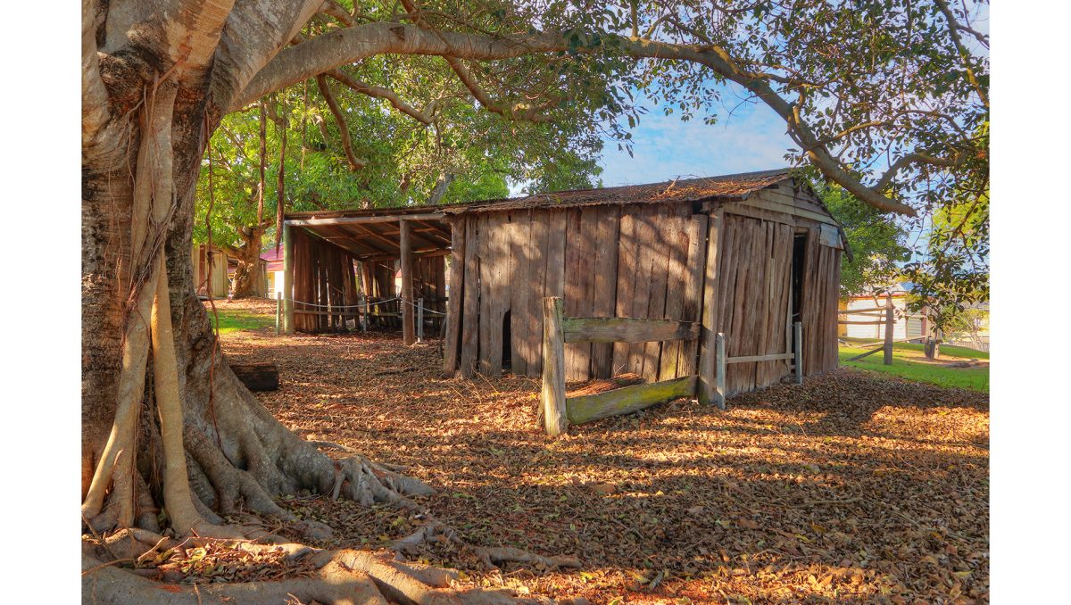 The 150th anniversary of the dairy building at Mayes Cottage is being remembered as part of the Australian Heritage Festival.