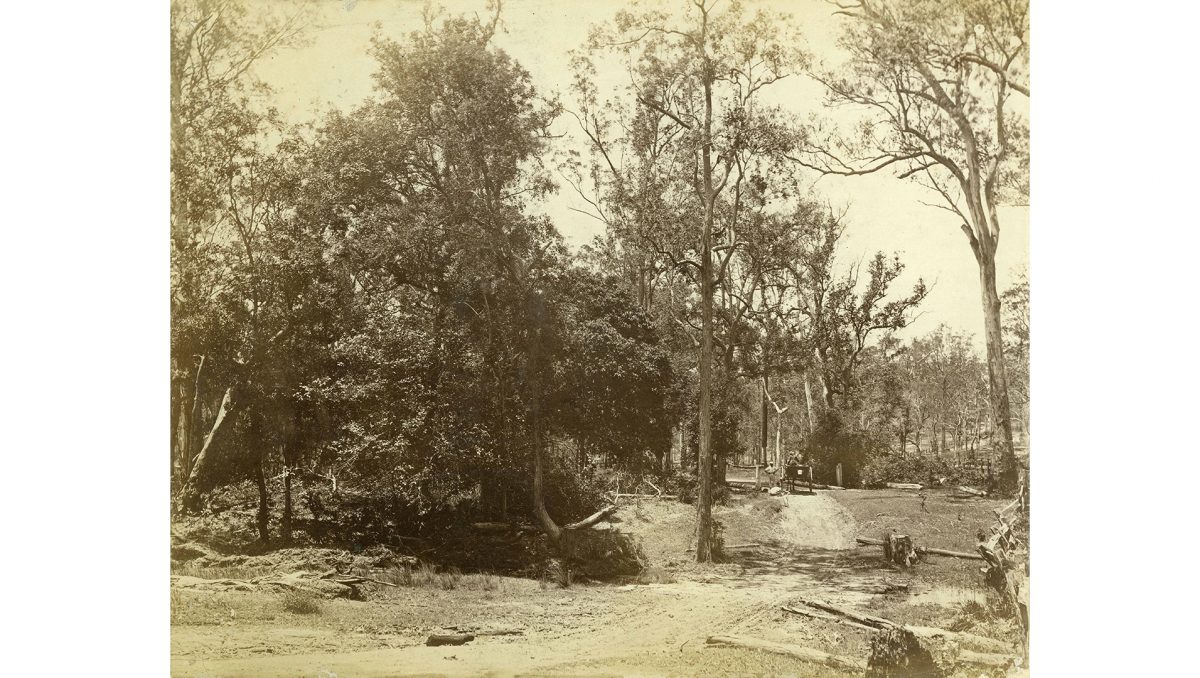 A discussion about 150 years of Scrubby Creek is part of the Australian Heritage Festival in April and May.