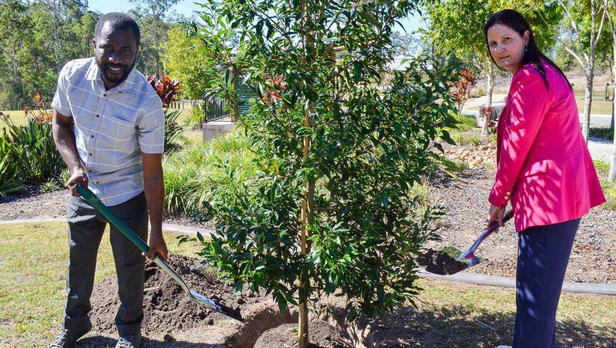 A tree was planted in Spring Mountain Lagoon Park as part of yesterday's bench unveiling by Hadrian Obi and Cr Natalie Willcocks.