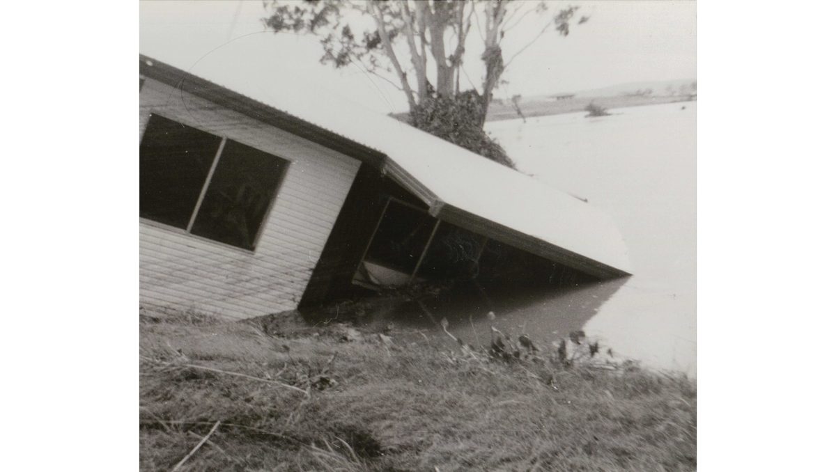 Linda Muchow took this photograph of a house from Tygum Rd wedged against a tree in January, 1974.