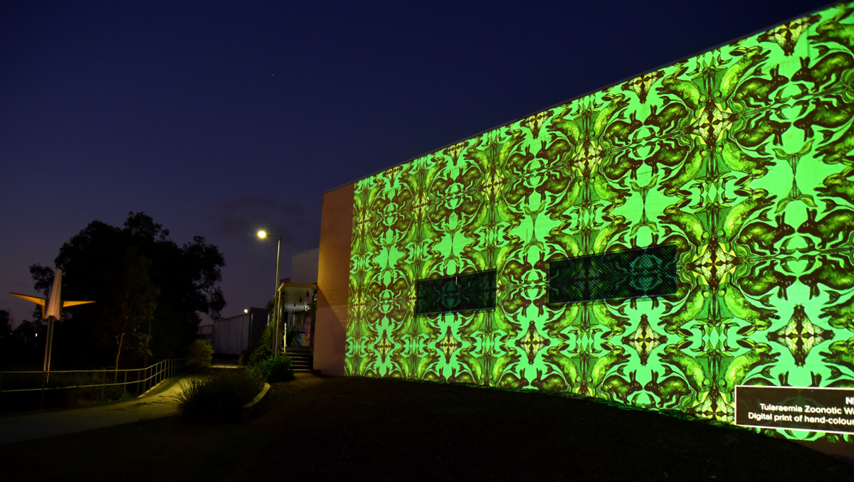 City of Logan artist Nicola Hooper's 'Tularaemia Wallpaper' is one of the vivid images now being projected nightly in Slacks Creek.