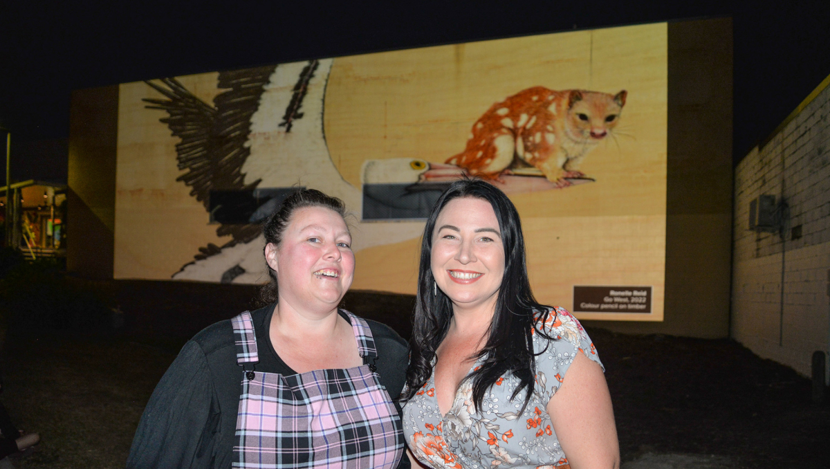 Division 3 Councillor Mindy Russell and Cedar Vale artist Ronelle Reid in front of her piece 'Go West', which is part of the new lighting projection in Slacks Creek.