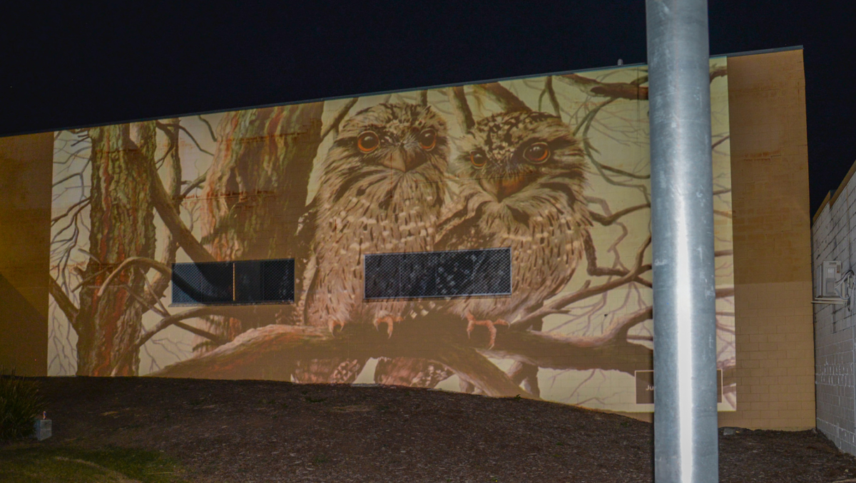 City of Logan artist Sandra Temple's piece 'Owls' is part of the new lighting projection in Slacks Creek.