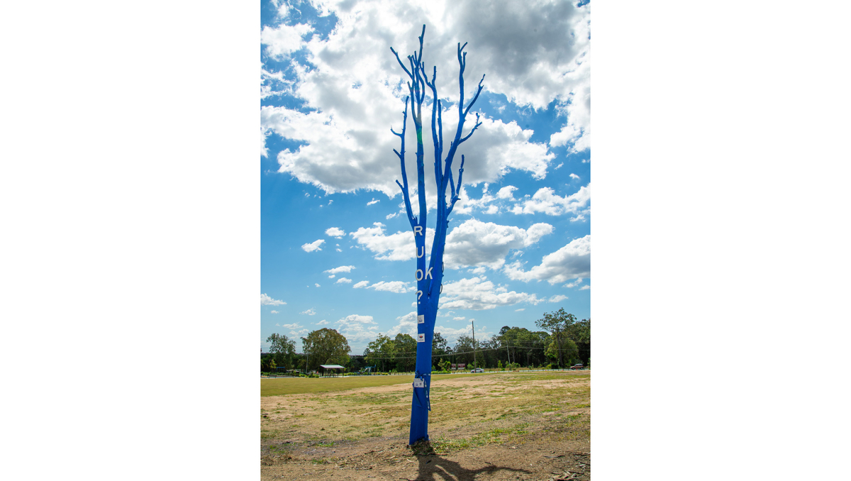 The blue tree in Loganview Park at Logan Reserve.