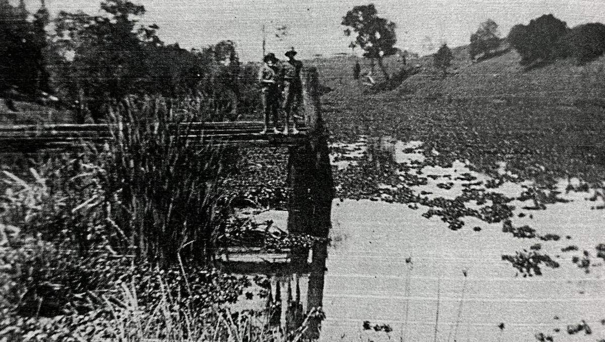 An imafe of two people standing on the old Logan Village wharf with a hyacinth-covered river.