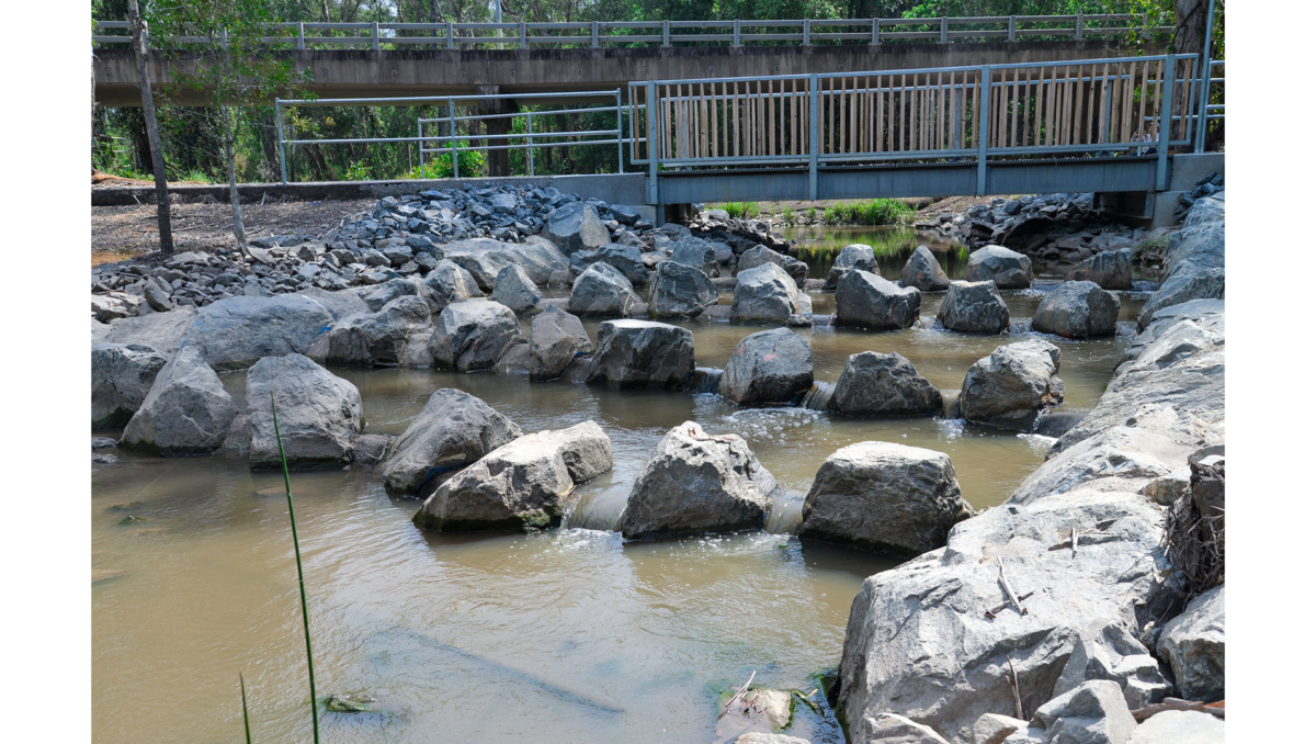 The new rock ramp fishway in Scrubby Creek.