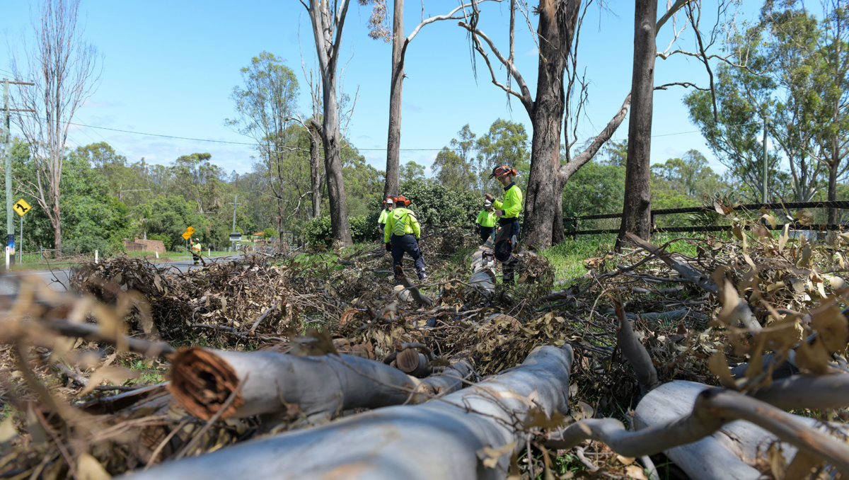 The clearing of green waste remains a priority for recovery crews in the City of Logan this weekend.