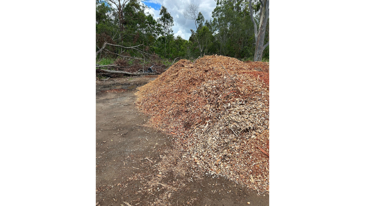 Council is removing and treating illegally dumped mulch to prevent the spread of fire ants.