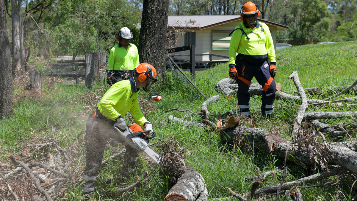 An image of Chain saw crews clearing fallen trees on Cedar Grove Road today.