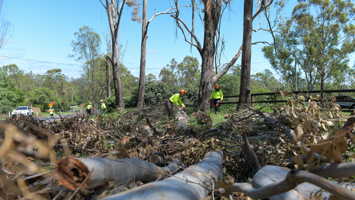 An image of the vegetation clean-up continuing in the south-western Logan suburb of Mundoolun today.
