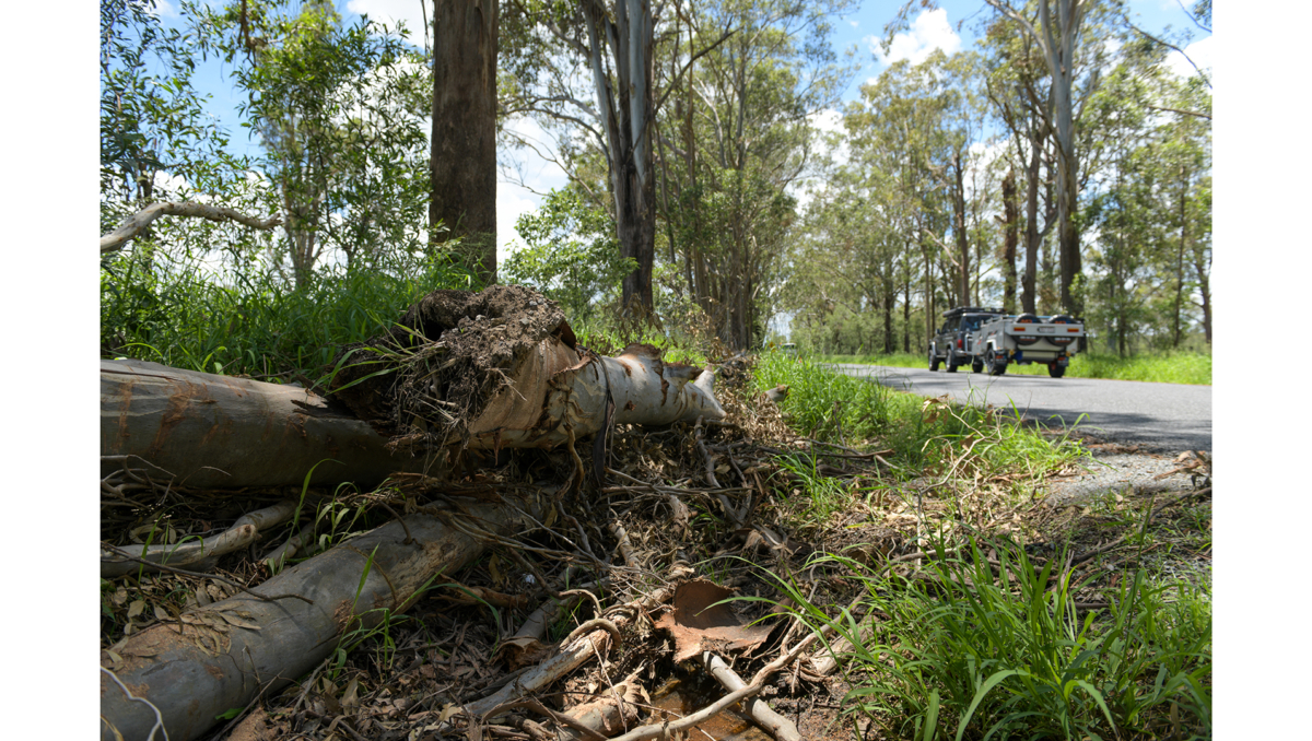 Council efforts remain focussed on restoring access along local roads and removing storm-related waste.