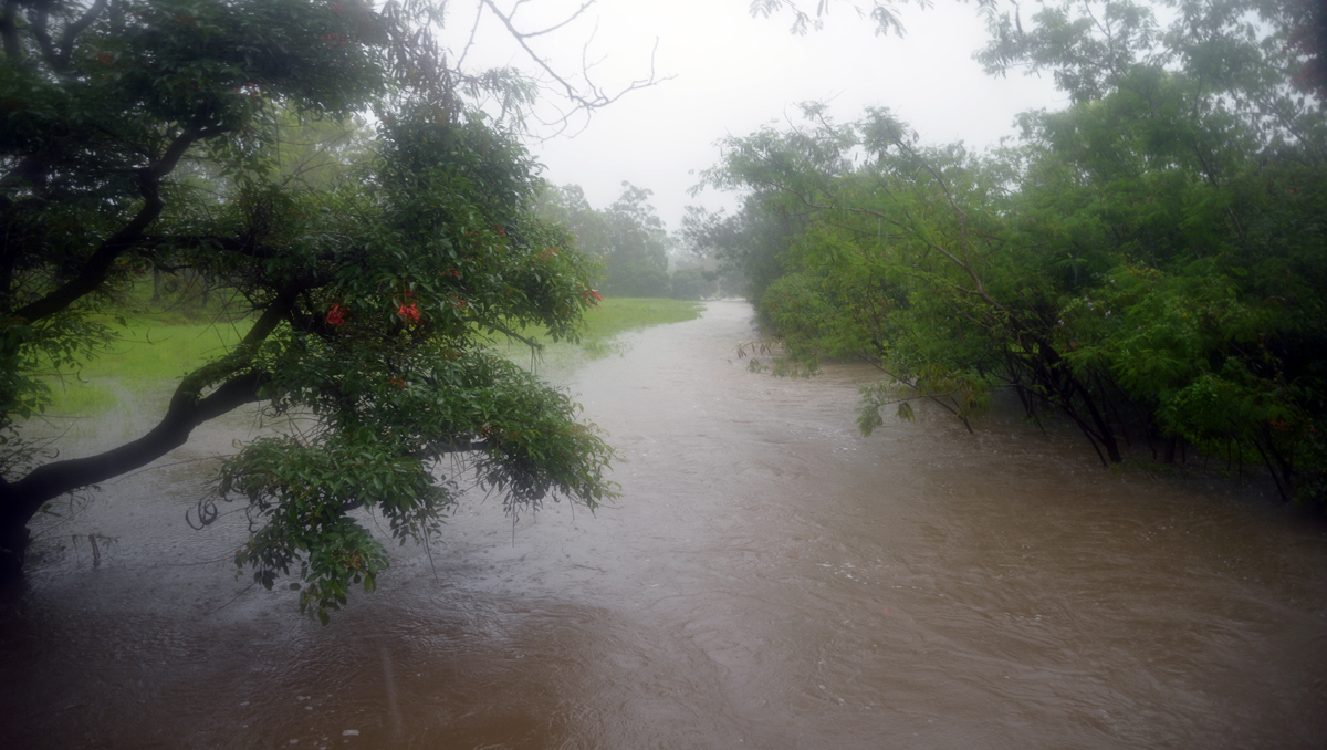 An image of Slacks Creek near Mabel Park which was flowing fast this morning.