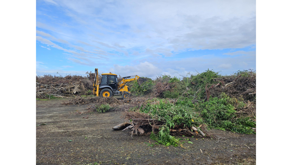 Storm-related green waste is processed at Council's Logan Village Waste & Recycling Facility.