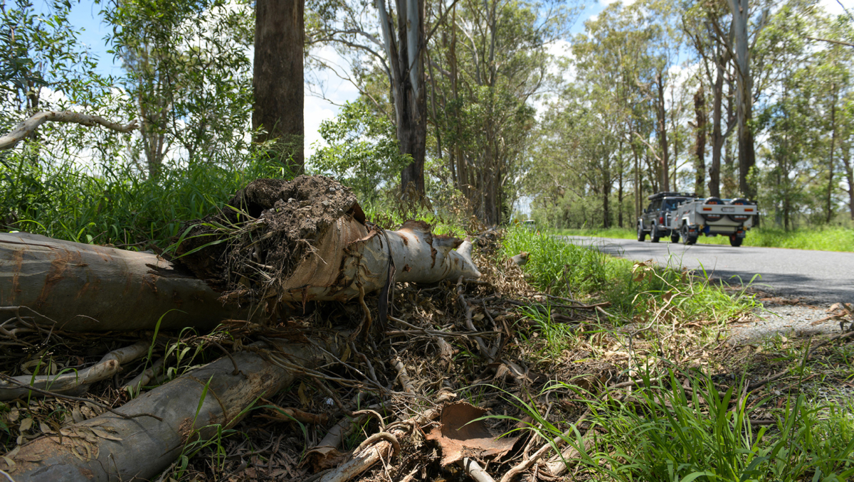 The Australian Government has extended its Disaster Recovery Payment to include the suburbs of Yarrabilba and Holmview.