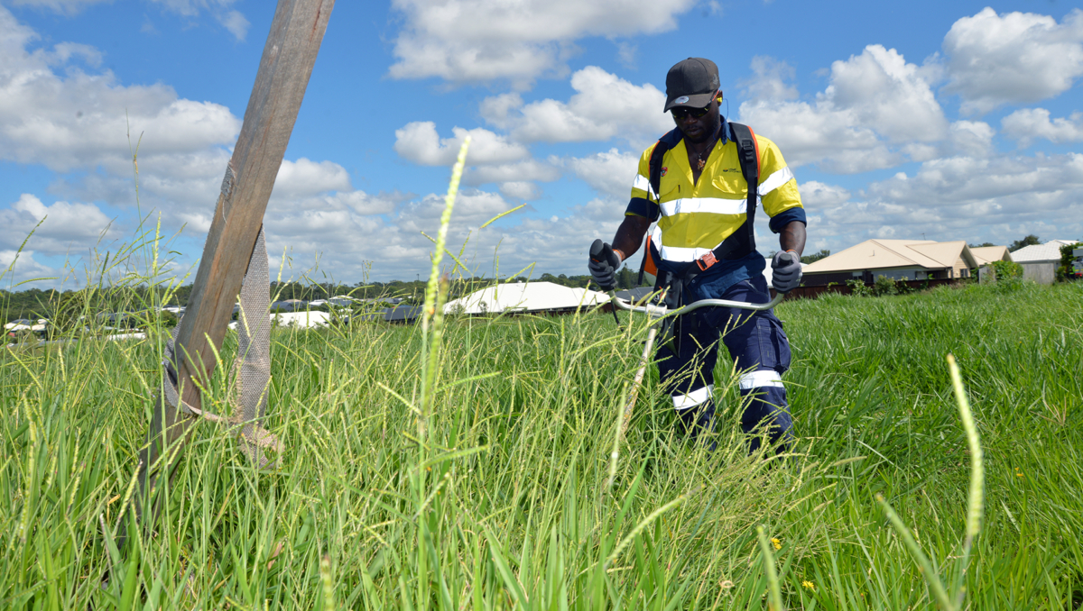 An image opf Beni Ntamwenge using a brush cutrter in long grass at Park Ridge.