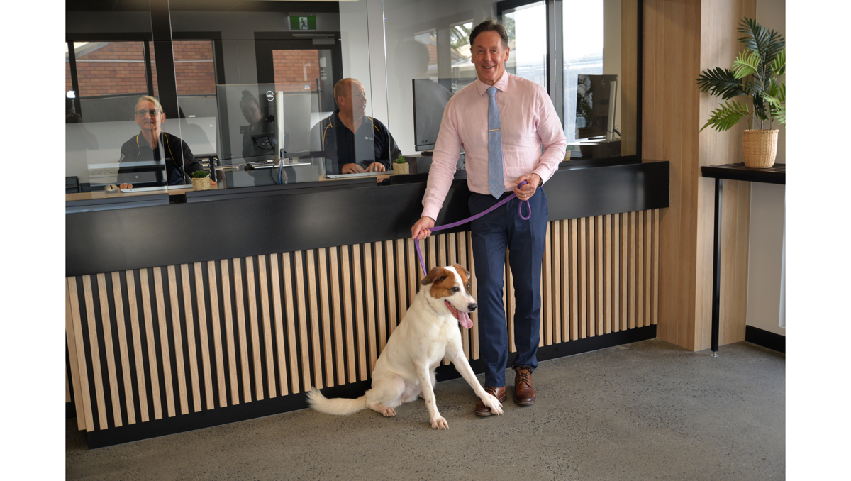 City of Logan Mayor Darren Power, with Charlotte – a German Shepherd cross awaiting adoption, in the new customer service area of the Animal Management Centre at Kingston.