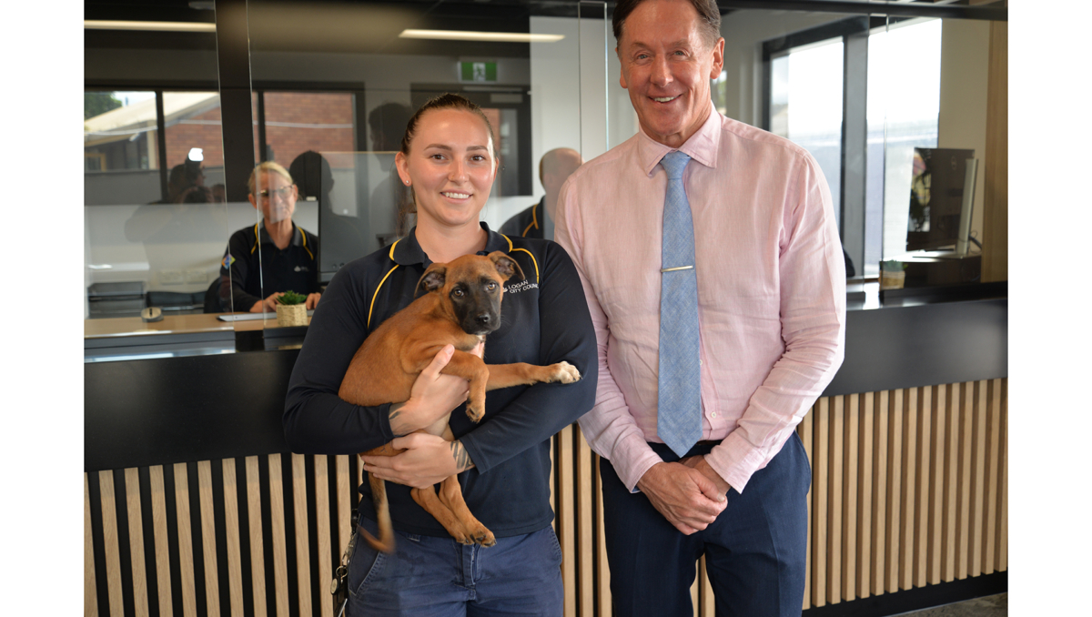 > City of Logan Mayor Darren Power is introduced to Kelpie puppy Freya by Council officer Jessica Doughty at the Animal Management Centre in Kingston, which is undergoing a three-stage upgrade.