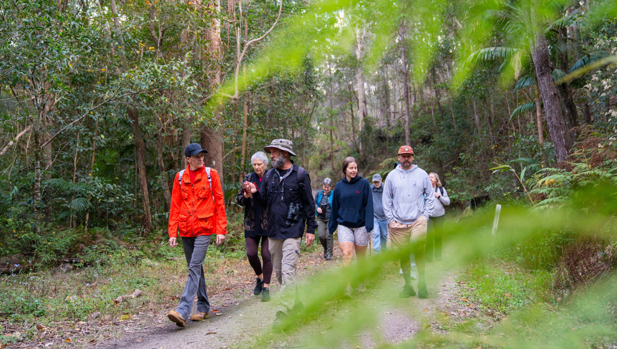 This is a photo of people hiking through a local park.