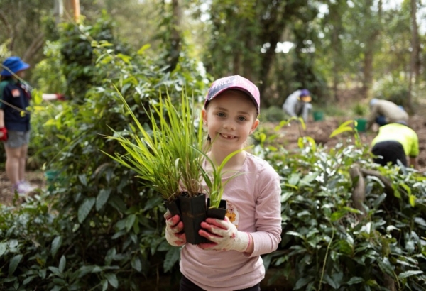Child holding a plant in front of them