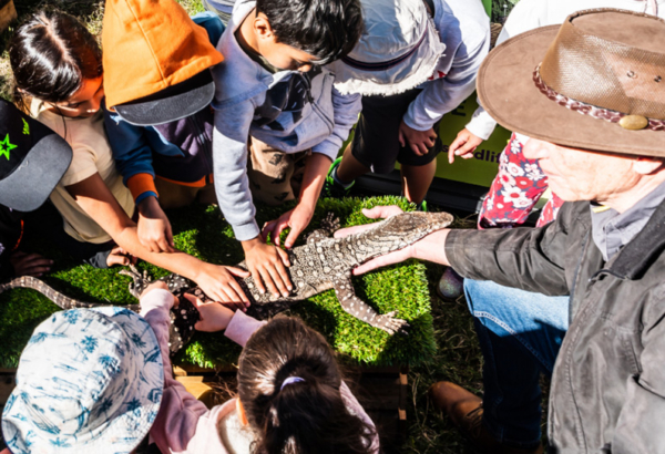 Group of children pat a goanna being held by a man