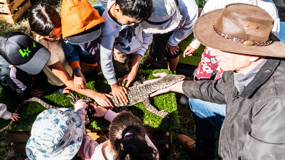 Group of children pat a goanna being held by a man