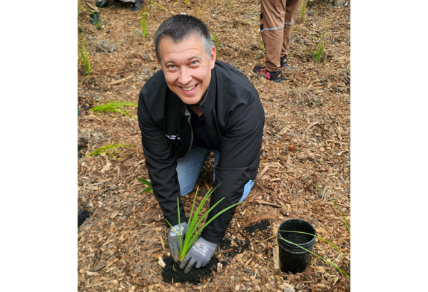 An image of Cr Tim Frazer planting a native shrub as part of the Tovey Park natural drain restoration project.