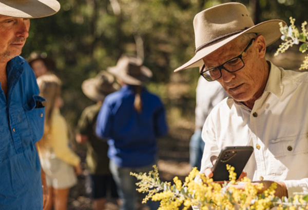 Man ticks picture of plant with his mobile phone