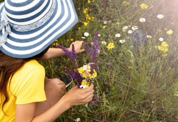 Young girl picking wildflowers