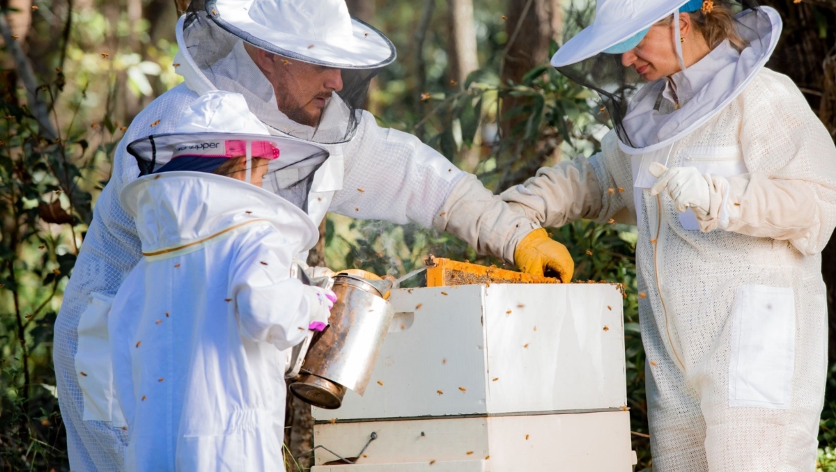 Roebig family checking out hives